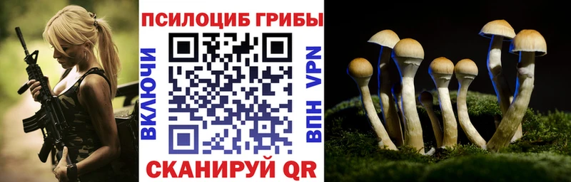 Купить закладки  Сухиничи  Галлюциногенные грибы мицелий 